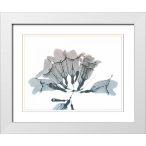 Blooming Jacaranoa White Modern Wood Framed Art Print with Double Matting by Koetsier, Albert