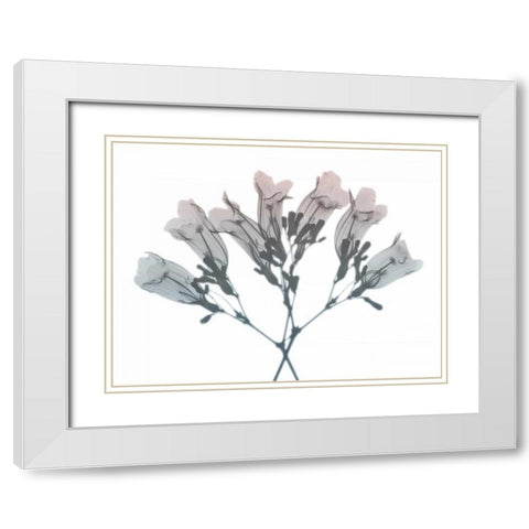 Blooming Jacaranoa 2 White Modern Wood Framed Art Print with Double Matting by Koetsier, Albert