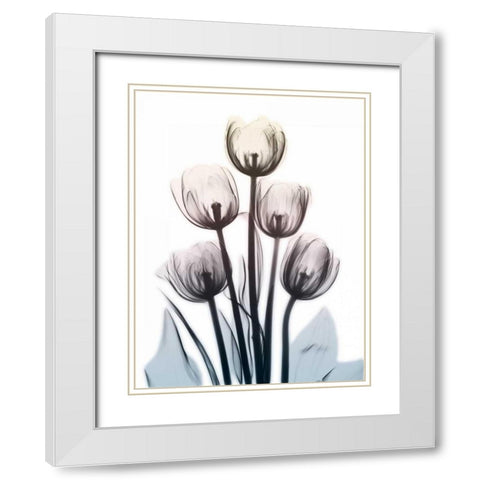 Springing Tulips 2 White Modern Wood Framed Art Print with Double Matting by Koetsier, Albert