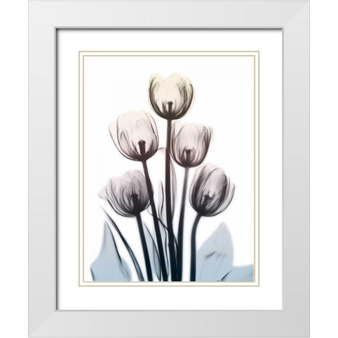 Springing Tulips 2 White Modern Wood Framed Art Print with Double Matting by Koetsier, Albert