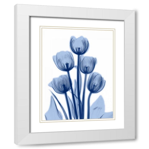 Indigo Spring Tulips 2 White Modern Wood Framed Art Print with Double Matting by Koetsier, Albert