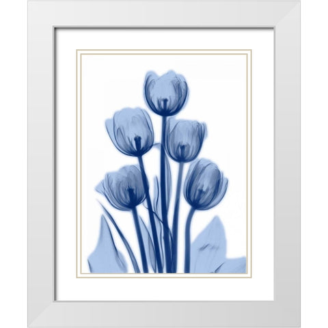 Indigo Spring Tulips 2 White Modern Wood Framed Art Print with Double Matting by Koetsier, Albert