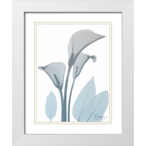 Serene Calla Lily White Modern Wood Framed Art Print with Double Matting by Koetsier, Albert