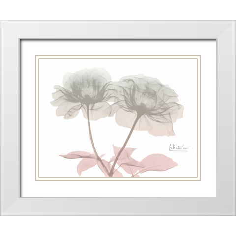 Serenity Double Rose White Modern Wood Framed Art Print with Double Matting by Koetsier, Albert