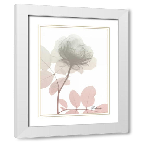 Serenity Rose White Modern Wood Framed Art Print with Double Matting by Koetsier, Albert