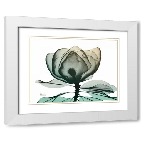 Emerald Magnolia 1 White Modern Wood Framed Art Print with Double Matting by Koetsier, Albert