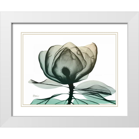 Emerald Magnolia 1 White Modern Wood Framed Art Print with Double Matting by Koetsier, Albert