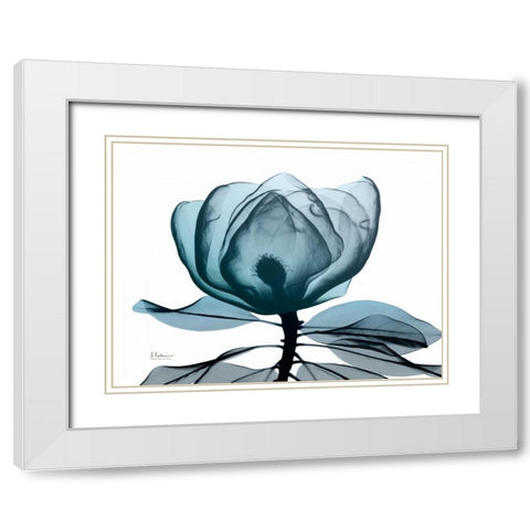 Midnight Magnolia 1 White Modern Wood Framed Art Print with Double Matting by Koetsier, Albert