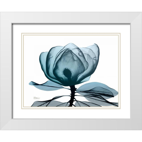 Midnight Magnolia 1 White Modern Wood Framed Art Print with Double Matting by Koetsier, Albert