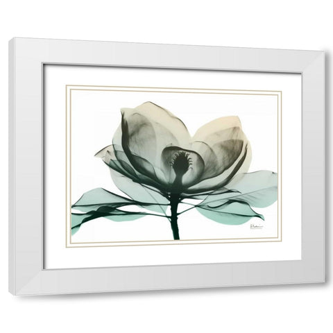 Emerald Magnolia 2 White Modern Wood Framed Art Print with Double Matting by Koetsier, Albert