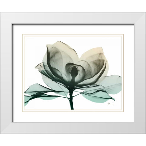 Emerald Magnolia 2 White Modern Wood Framed Art Print with Double Matting by Koetsier, Albert