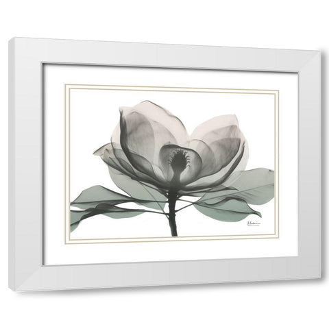 Sage Magnolia 1 White Modern Wood Framed Art Print with Double Matting by Koetsier, Albert