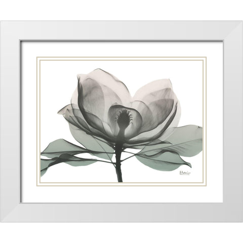 Sage Magnolia 1 White Modern Wood Framed Art Print with Double Matting by Koetsier, Albert