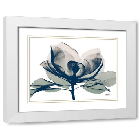 Blue Ranged Magnolia 1 White Modern Wood Framed Art Print with Double Matting by Koetsier, Albert