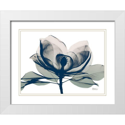 Blue Ranged Magnolia 1 White Modern Wood Framed Art Print with Double Matting by Koetsier, Albert