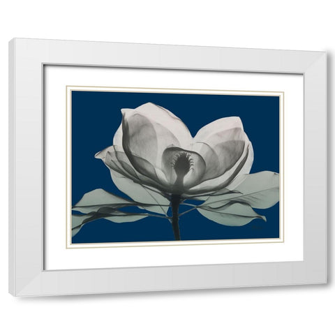 Navy Magnolia 1 White Modern Wood Framed Art Print with Double Matting by Koetsier, Albert