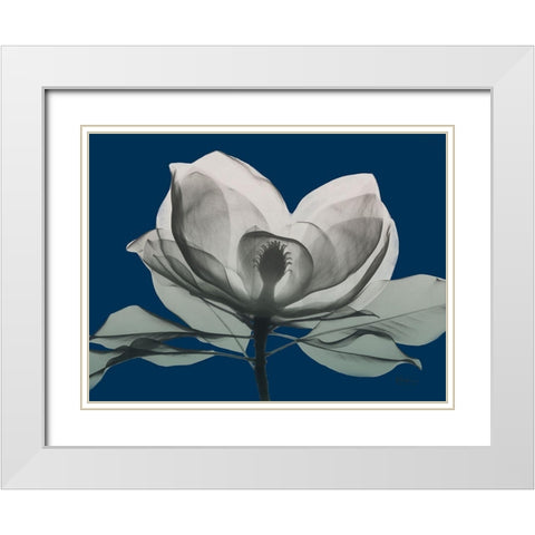 Navy Magnolia 1 White Modern Wood Framed Art Print with Double Matting by Koetsier, Albert