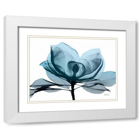 Midnight Magnolia 2 White Modern Wood Framed Art Print with Double Matting by Koetsier, Albert