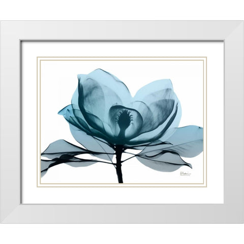 Midnight Magnolia 2 White Modern Wood Framed Art Print with Double Matting by Koetsier, Albert