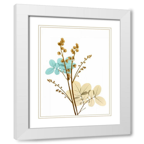 Desert Bloom 1 White Modern Wood Framed Art Print with Double Matting by Koetsier, Albert