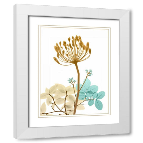 Desert Bloom 2 White Modern Wood Framed Art Print with Double Matting by Koetsier, Albert