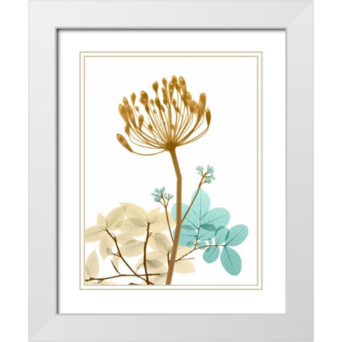 Desert Bloom 2 White Modern Wood Framed Art Print with Double Matting by Koetsier, Albert