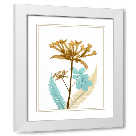 Desert Bloom 3 White Modern Wood Framed Art Print with Double Matting by Koetsier, Albert