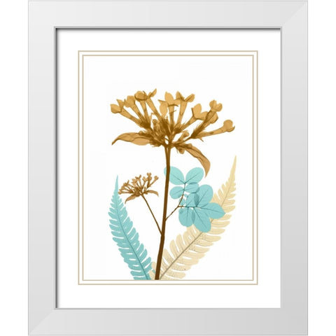 Desert Bloom 3 White Modern Wood Framed Art Print with Double Matting by Koetsier, Albert