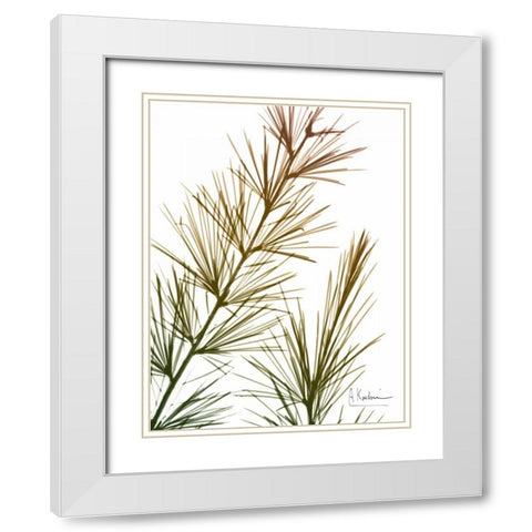 Autumn Sequoia White Modern Wood Framed Art Print with Double Matting by Koetsier, Albert