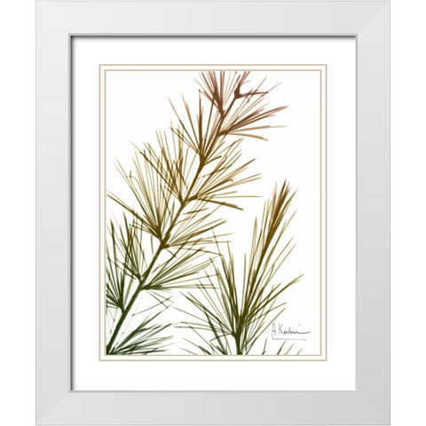 Autumn Sequoia White Modern Wood Framed Art Print with Double Matting by Koetsier, Albert