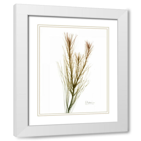 Autumn Botanical White Modern Wood Framed Art Print with Double Matting by Koetsier, Albert