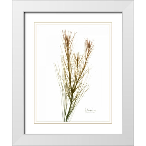 Autumn Botanical White Modern Wood Framed Art Print with Double Matting by Koetsier, Albert