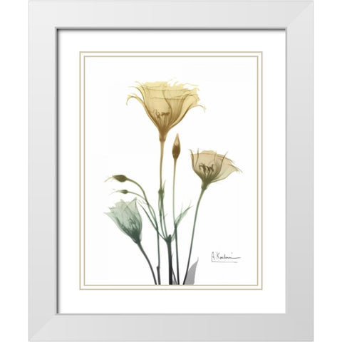 Ocre Bloom 1 White Modern Wood Framed Art Print with Double Matting by Koetsier, Albert