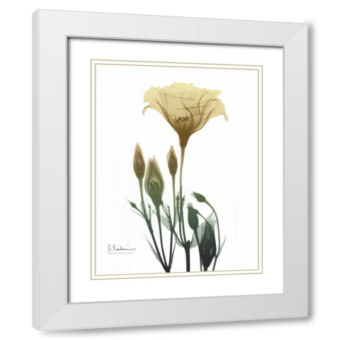 Ocre Bloom 2 White Modern Wood Framed Art Print with Double Matting by Koetsier, Albert