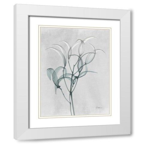 Emerald Oleander Bush White Modern Wood Framed Art Print with Double Matting by Koetsier, Albert
