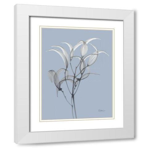 Skyway Oleander Bush White Modern Wood Framed Art Print with Double Matting by Koetsier, Albert