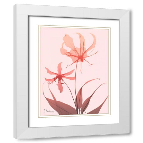 Furiosa Lily White Modern Wood Framed Art Print with Double Matting by Koetsier, Albert