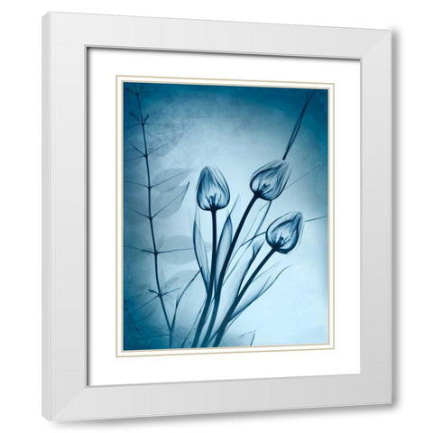 Cerulean Dawn White Modern Wood Framed Art Print with Double Matting by Koetsier, Albert