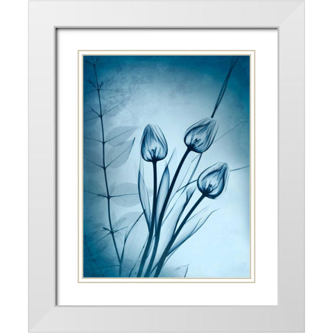 Cerulean Dawn White Modern Wood Framed Art Print with Double Matting by Koetsier, Albert