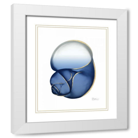 Shimmering Indigo Snail 1 White Modern Wood Framed Art Print with Double Matting by Koetsier, Albert