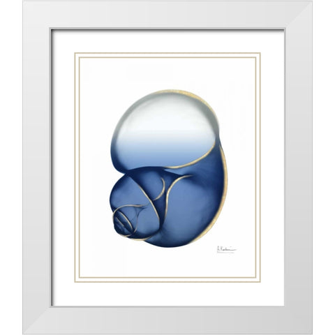 Shimmering Indigo Snail 1 White Modern Wood Framed Art Print with Double Matting by Koetsier, Albert