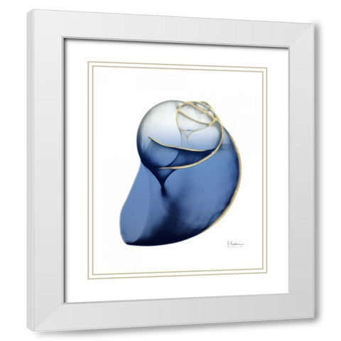 Shimmering Indigo Snail 2 White Modern Wood Framed Art Print with Double Matting by Koetsier, Albert