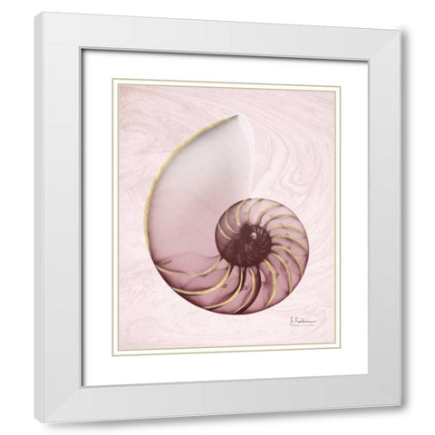 Marble Blush Snail 1 White Modern Wood Framed Art Print with Double Matting by Koetsier, Albert