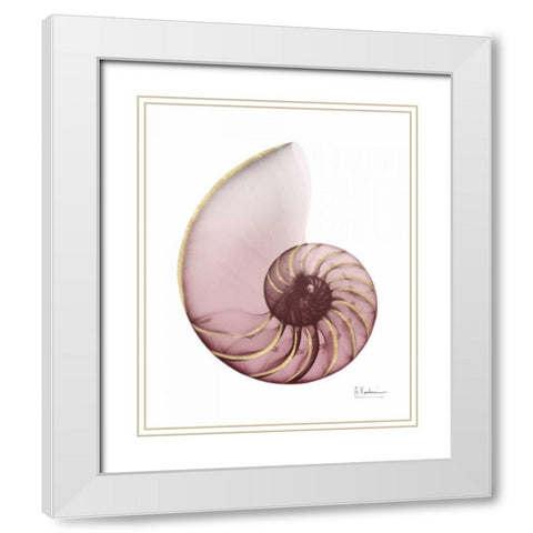 Shimmering Blush Snail 1 White Modern Wood Framed Art Print with Double Matting by Koetsier, Albert