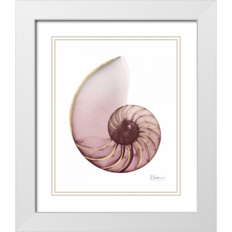 Shimmering Blush Snail 1 White Modern Wood Framed Art Print with Double Matting by Koetsier, Albert