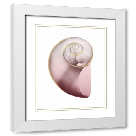 Shimmering Blush Snail 2 White Modern Wood Framed Art Print with Double Matting by Koetsier, Albert