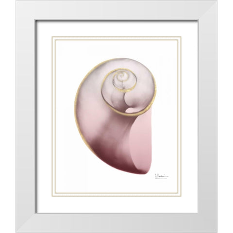 Shimmering Blush Snail 2 White Modern Wood Framed Art Print with Double Matting by Koetsier, Albert