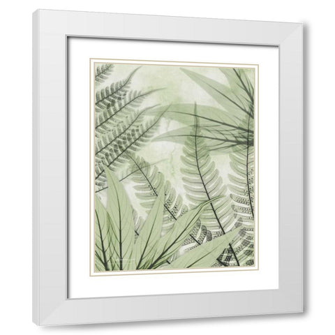 Prehistoric Awakening White Modern Wood Framed Art Print with Double Matting by Koetsier, Albert