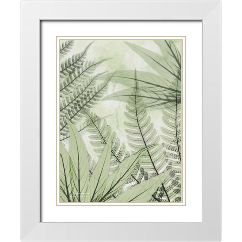 Prehistoric Awakening White Modern Wood Framed Art Print with Double Matting by Koetsier, Albert