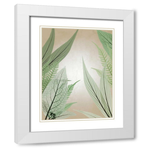 Jungle Cruise White Modern Wood Framed Art Print with Double Matting by Koetsier, Albert